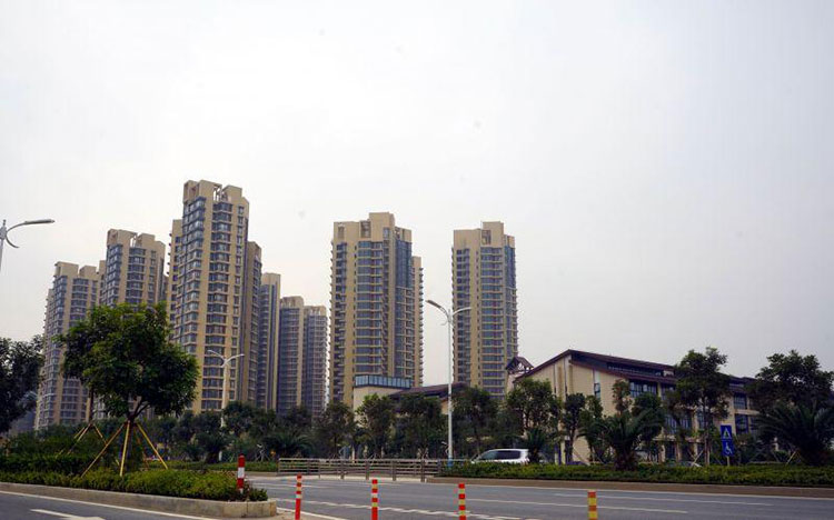 冠军国际网(中国游)官方网站