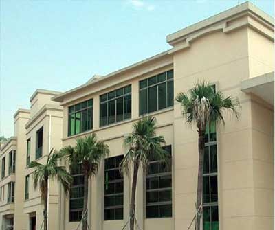 冠军国际网(中国游)官方网站