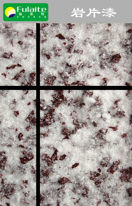 冠军国际网(中国游)官方网站