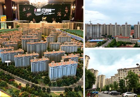 冠军国际网(中国游)官方网站