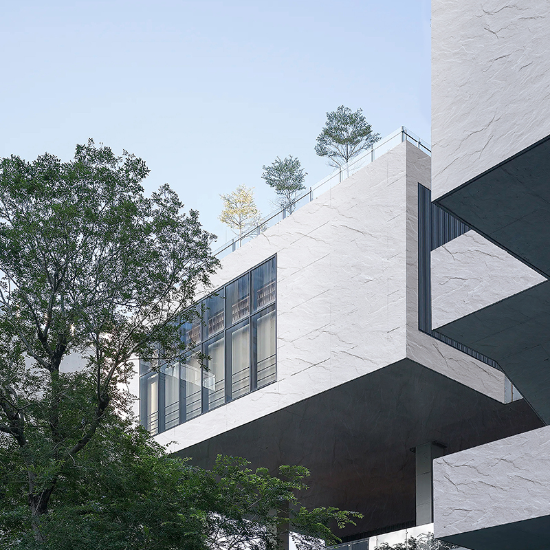 冠军国际网(中国游)官方网站