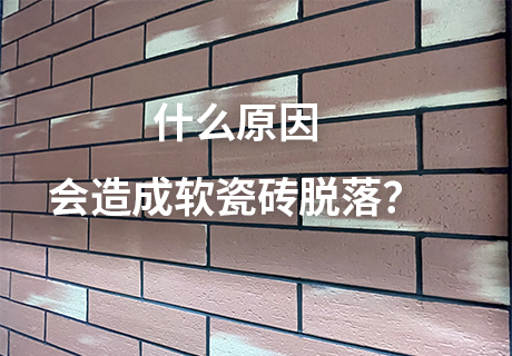 冠军国际网(中国游)官方网站